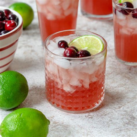 Punch With Vodka Cranberry Ginger Ale at Maddison Westacott blog