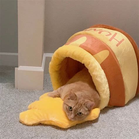 Honey Pot Cat Bed | Cat bed, Cute cats, Cat room