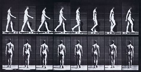 Walking reference:male | Animation reference, Walking animation ...