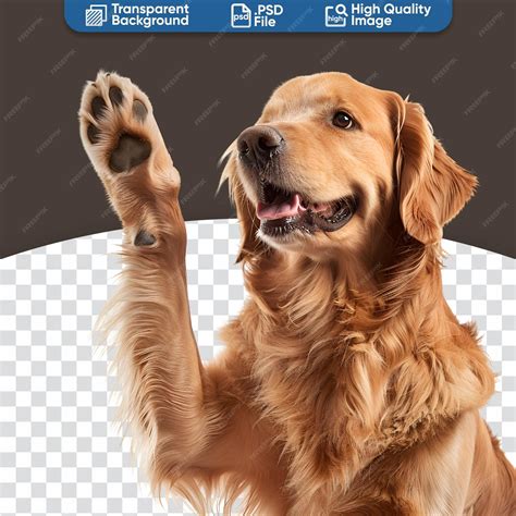 Premium PSD | Golden Retriever Dogs Happy High Five During a Cute Playtime