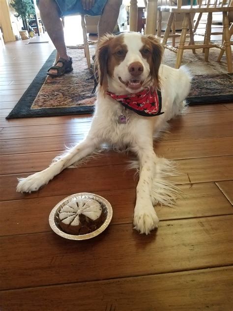 Patient Photo Gallery | Meyer Veterinary Clinic