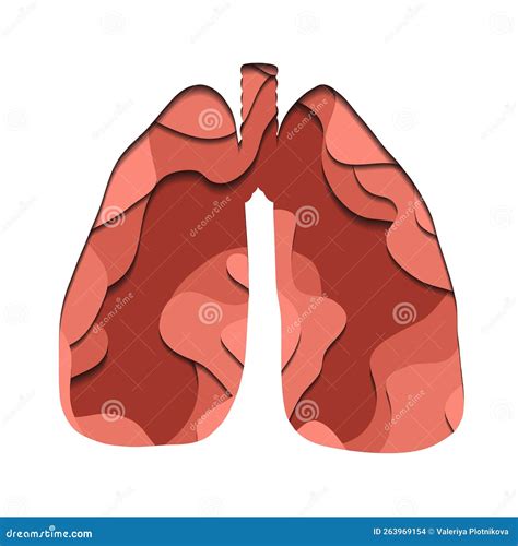 Vector Paper Cut Illustration of Pink Silhouette of Human Lungs. 3D ...