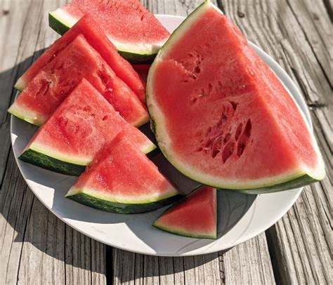 When to Harvest Watermelon: How to Tell if a Watermelon Is Ripe - Bunny ...