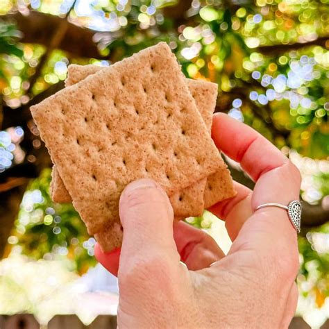 Are Graham Crackers Vegan? Best Vegan Brands & Recipes | World of Vegan