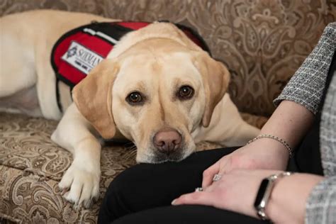 Soxman Funeral Home | Pittsburgh, PA Funeral Home & Crema...