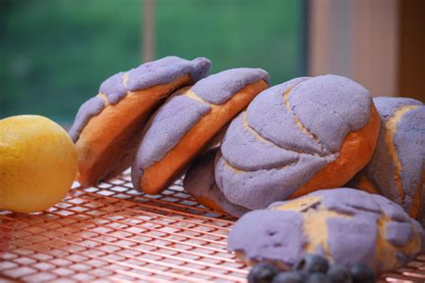 Lemon Blueberry Conchas