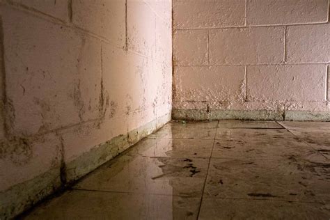 Charlottesville Foundation Repair Company | Basement Repair