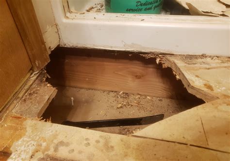 Replacing Subfloor In Bathroom Check Out These Easy Tricks To Install