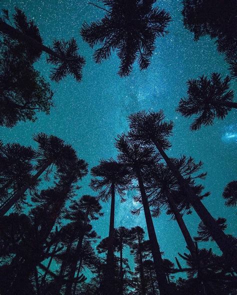 Emily Agnes (aka Emily Shaw) Playboy’s Playmate of the Month (2013) – @realismovisceral on Tumblr