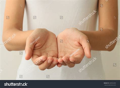 Woman Hands Holding Something Open HandsẢnh có sẵn469554395 | Shutterstock