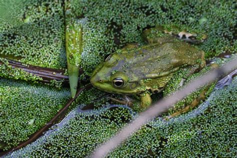 Anime+Sex+Positions Photos, Download The BEST Free Anime+Sex+Positions ...