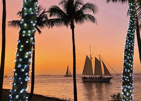 Top Christmas Light Displays in Southwest Florida to Visit - Integr...