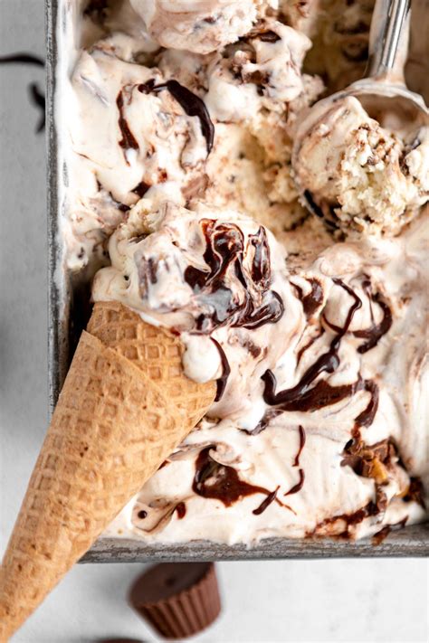 Moose tracks – Artofit