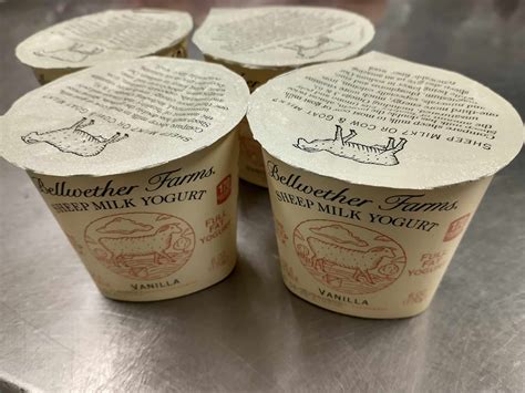 Vanilla Sheep Milk Yogurt, Set of 4 - NSHF