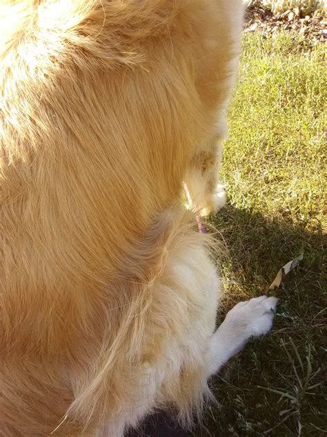 Thrifty Quaker (@ThriftyQuaker) / Twitter