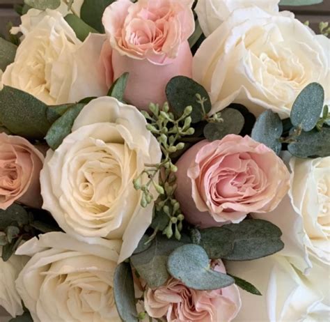 María Luisa Henrietta Clotilda Kahlo Cardeña (1894-1989) - Find a Grave ...