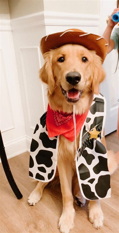 Golden Retriever Costume For Kid at Mary Chute blog