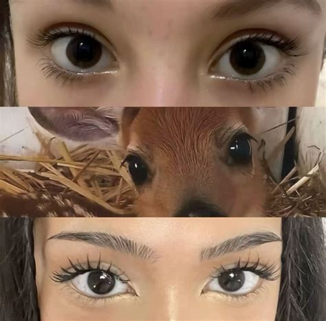 Doe Eyes Aesthetic