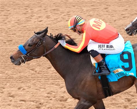 Big Changes to Kentucky Derby, Oaks Divisions on Equibase Leaderboard ...