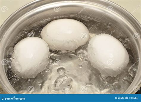 Eggs boiling stock photo. Image of nutrition, health - 23647488