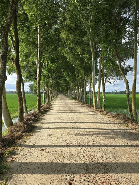 Boob+Tan+Lines Photos, Download The BEST Free Boob+Tan+Lines Stock Photos & HD Images