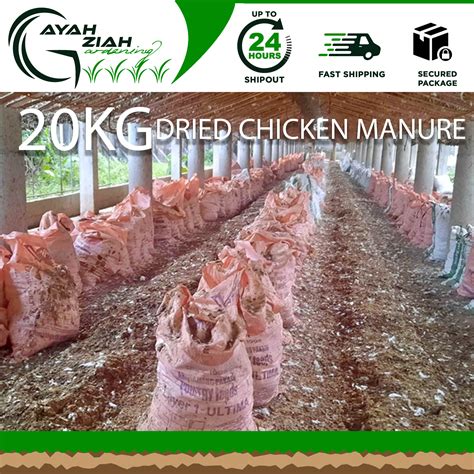 Is Chicken Manure Harmful To Humans at Nicole Bentley blog