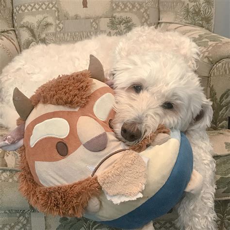 anna mei (@annnameii) • Instagram photos and videos