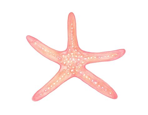 Love pink – Artofit