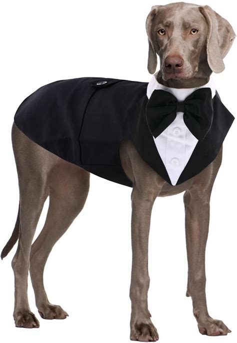 Amazon.com : Dog Tuxedo and Bandana Set Dogs Formal Tuxedo PET Wedding ...