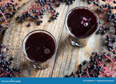 Two Glasses of Black Elder Syrup with Fresh Elderberries. Alternative ...