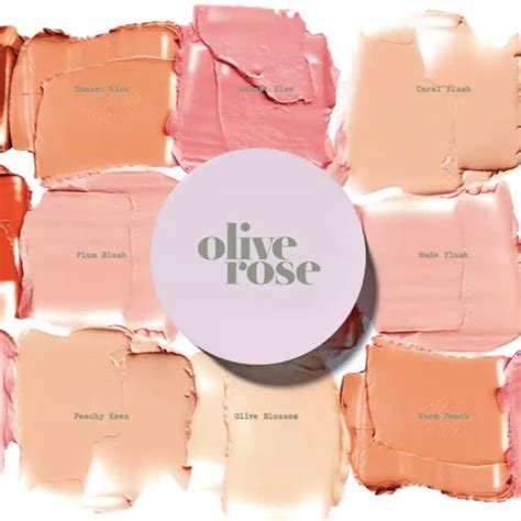 Enhance Your Beauty with Waterless Makeup: Introducing Olive Rose No ...