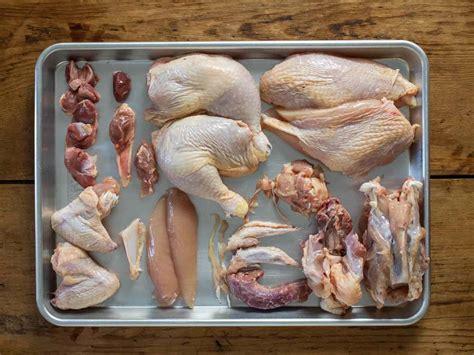 What Are All The Parts Of A Chicken at Seth Rudall blog
