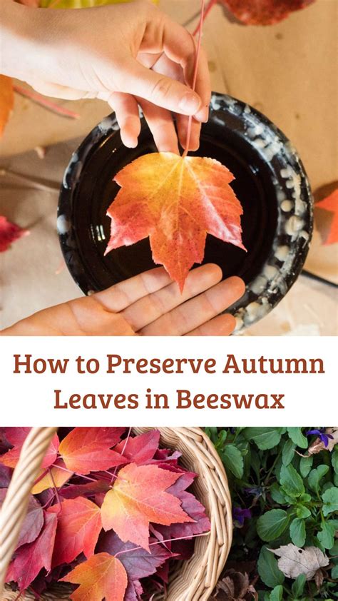How to Preserve Autumn Leaves in Beeswax - Backwoods Mama