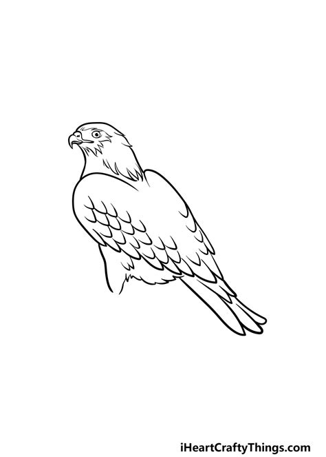How To Draw Easy Hawk