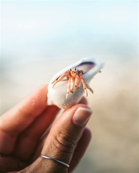 Sol by jergens sunless tanning collection – Artofit