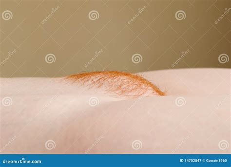 Red pubic mound stock image. Image of hair, pubic, thigh - 14702847