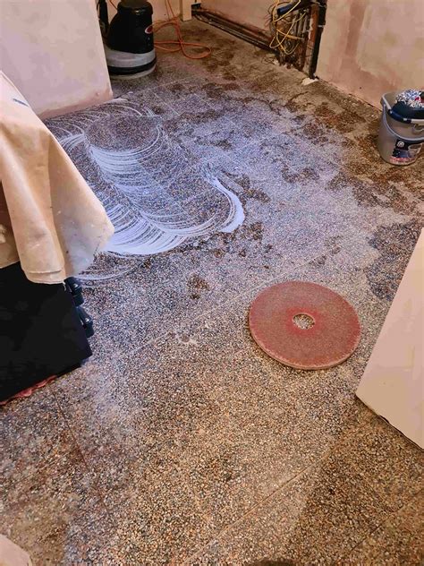 Terrazzo Floor Cleaning