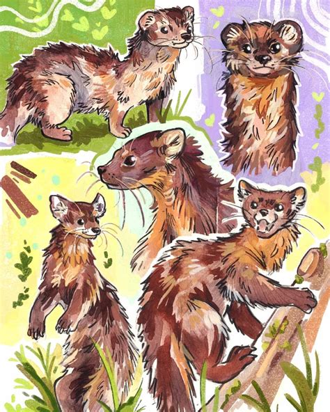 JelArts - Critter Illustrator on Instagram: "Some Martens 🦦 Here's the ...