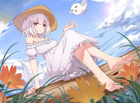 barefoot, hat, Pixiv, Aluo, feet, birds, white hair, anime girls, anime ...