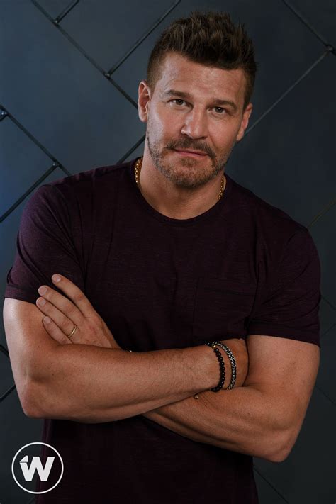 Seal team star david boreanaz exclusive studiowrap portraits photos ...