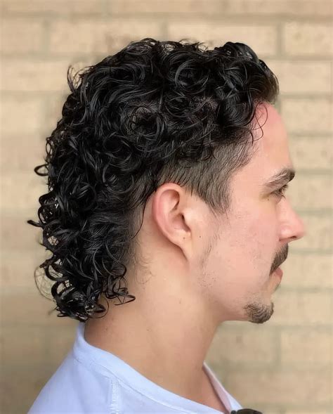 Modern Mullet Curly