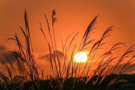 Sunrise Sunset in Irvine - South Coast Chinese Cultural Association