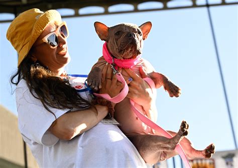 World's Ugliest Dog Contest: Here are some of the top contenders - CP24