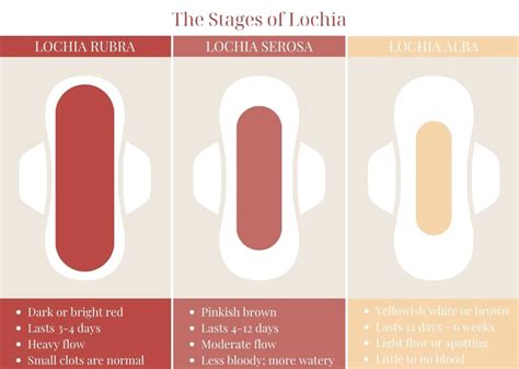 The First Few Days: What to Expect After Birth | Mama Liv