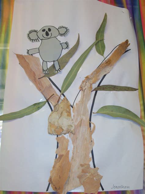 Koala Art Lesson at Colin Leon blog