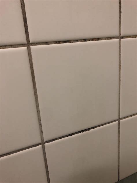 How to Get Rid of Black Mold in Shower: Expert Tips