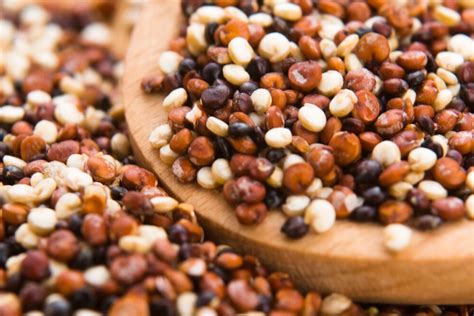 Gold Land | Quinoa | Tricolor Quinoa