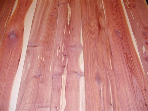Woodchucks Wood 3/4 Inch x 2 Inch x 16 Inch Solid Red Aromatic Cedar ...