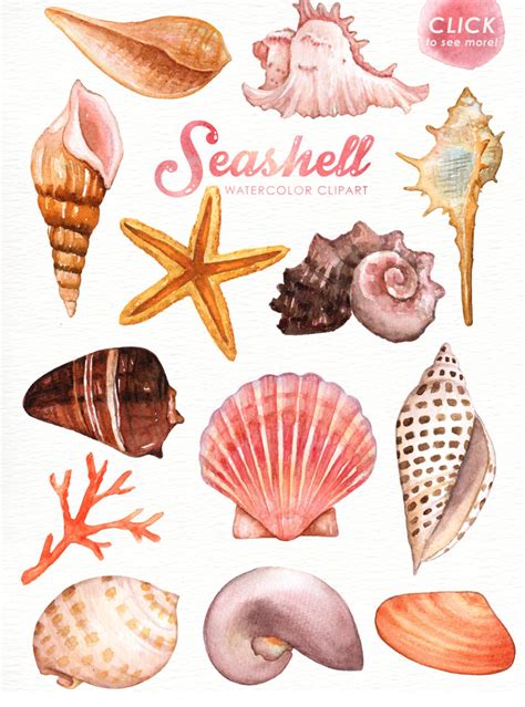 Wedding Seashell Clipart