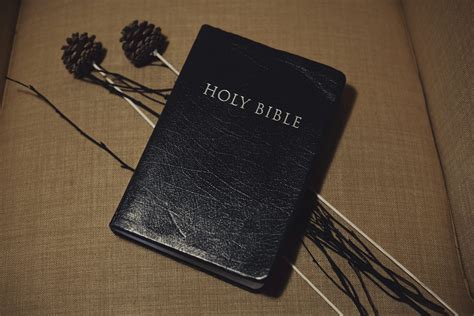 A black bible sitting on top of a couch photo – Free King james bible ...